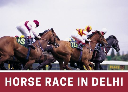 horse race in delhi
