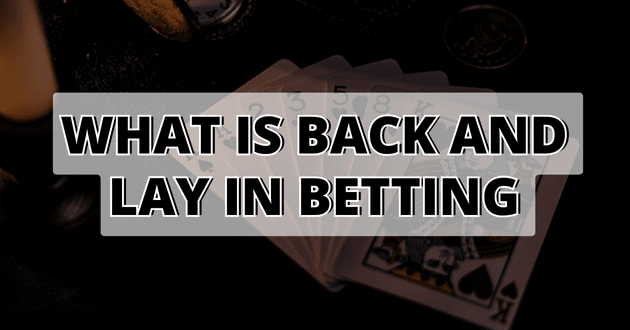 What is Back and Lay in Betting